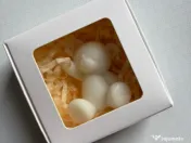 Marturii nunta/botez 