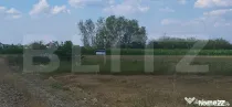 Teren intravilan de vanzare, 660 mp, in Cionchesti