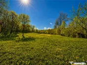 Casa traditionala,zona pitoreasca,domeniu de 3.400 mp,Suveic 