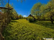 Casa traditionala,zona pitoreasca,domeniu de 3.400 mp,Suveic 