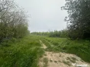 Investitie Litoral! Teren intravilan de vanzare | 46.000mp | 