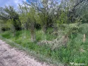 TEREN EXTRAVILAN IN ZONA SIGMIR 