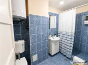 Nivel in casa cu 2 apartamente,145 mp utili teren 338mp, Gh 