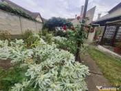 Casa cu vatra traditionala, gradina, garaj, facilitati, Codl 