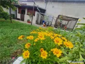 Casa cu vatra traditionala, gradina, garaj, facilitati, Codl 