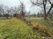 Tautii-Magheraus - TEREN DE VANZARE 