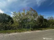 Tautii-Magheraus - TEREN DE VANZARE 