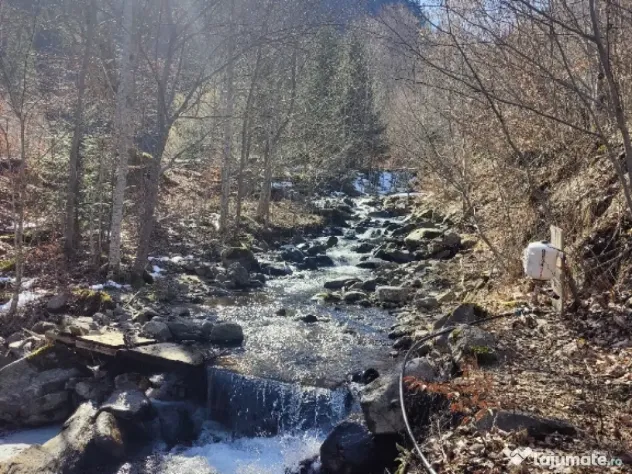 Vând teren intravilan,doua loturi 6915m2 preț negociabil Comuna Malaia judetul Valcea