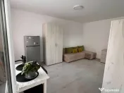 Apartament 1 camera D, in Gradinari, 