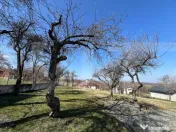 Casa renovabila de vanzare cu teren de 1300mp 