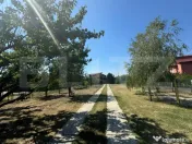 Proprietate exclusivistă | Vilă P+M, 278 mp | Teren 1654 m 