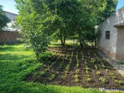 Duplex, personalizabil, cu 1.000 mp teren, Prejmer, Brasov 