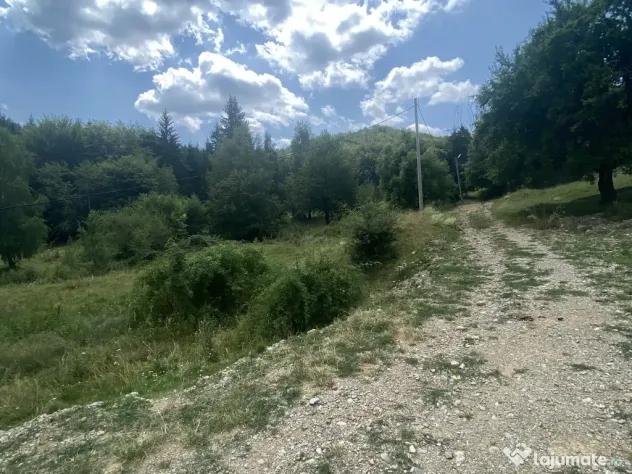 Teren Intravilan Priveliste Superba 1000mp