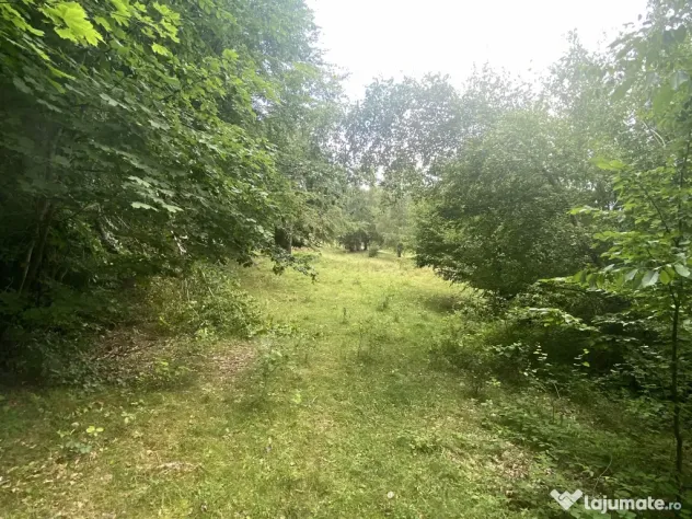 Teren Intravilan Priveliste Superba 1000mp