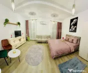 Garsonieră cochetă, perfectă pentru locuit sau investiți 