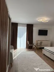 Apartament 1 camera D, FREYA HOME Apartments Bucium, 