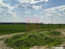 Poșta -Teren 12.450mp pretabil hală/rezidențial la 150...