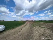 Poșta -Teren 12.450mp pretabil hală/rezidențial la 150... 