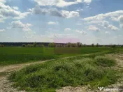 Poșta -Teren 12.450mp pretabil hală/rezidențial la 150... 