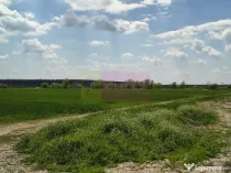 Poșta -Teren 12.450mp pretabil hală/rezidențial la 150...