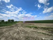 Poșta -Teren 12.450mp pretabil hală/rezidențial la 150... 