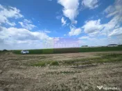 Poșta -Teren 12.450mp pretabil hală/rezidențial la 150... 