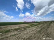 Poșta -Teren 12.450mp pretabil hală/rezidențial la 150... 