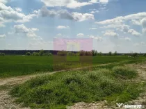 Poșta -Teren 12.450mp pretabil hală/rezidențial la 150...