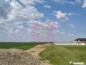 Poșta -Teren 12.450mp pretabil hală/rezidențial la 150... 