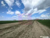 Poșta -Teren 12.450mp pretabil hală/rezidențial la 150... 