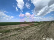 Poșta -Teren 12.450mp pretabil hală/rezidențial la 150... 