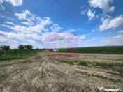 Poșta -Teren 12.450mp pretabil hală/rezidențial la 150... 