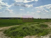 Poșta -Teren 12.450mp pretabil hală/rezidențial la 150... 