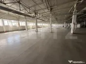 Cladire birouri , hala de productie, spatii depozitare, parc 