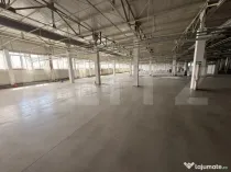 Cladire birouri , hala de productie, spatii depozitare, parc