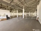 Cladire birouri , hala de productie, spatii depozitare, parc 