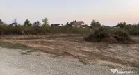 Teren intravilan Mogosoaia 1290 mp(2 loturi- 509 mp și 781mp) 
