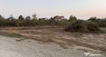 Teren intravilan Mogosoaia 1290 mp(2 loturi- 509 mp și 781mp)
