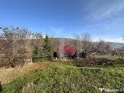 Casa de vacanta de vanzare, in Lisnau - Comuna Ozun 