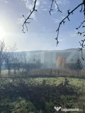 Casa de vacanta de vanzare, in Lisnau - Comuna Ozun 