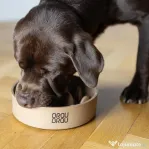 Bol Bej Bamboo Slow Dining BRAUBRAU pentru Câini și Pisici
