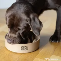 Bol Bej Bamboo Slow Dining BRAUBRAU pentru Câini și Pisici 