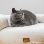 Canapea Curbată Bej - Bouclé BRAUBRAU pentru Câini și Pisici 