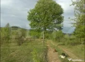 Teren extravilan 77.700 mp ideal investiție sau dezvoltare 