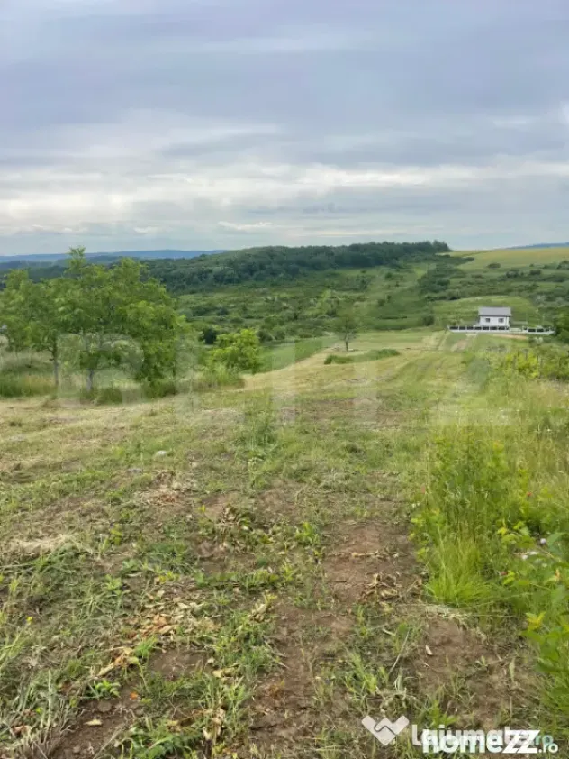 Teren 500 mp intravilan Valea Ursului-