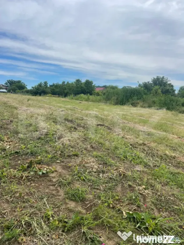 Teren 500 mp intravilan Valea Ursului-