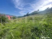 Teren pretabil pentru case , 1787 mp, Tauti 