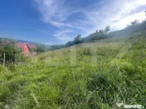 Teren pretabil pentru case , 1787 mp, Tauti