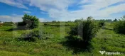 Teren intravilan, 9289 mp pretabil investitie, la Centura No 