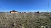 Teren de vazare, 800 mp, Plopi 